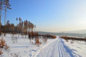 My One Night In A Deep Siberian Jungle Not For Faint Hearted