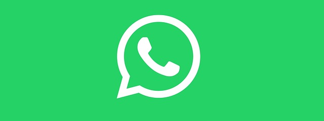 Best Whatsapp Icon Images To Download 6