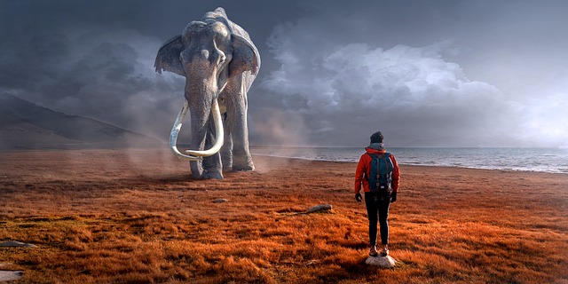Seeing Elephant In Dream Is Good Or Bad Dream Meanings