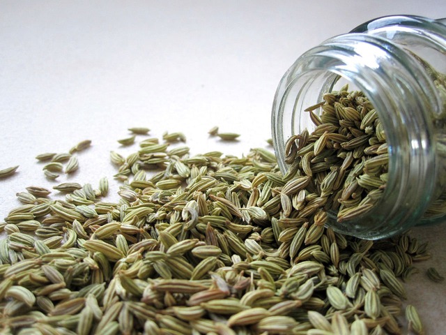 Benefits Of Fennel Seeds For Health How To Eat Fennel Seeds