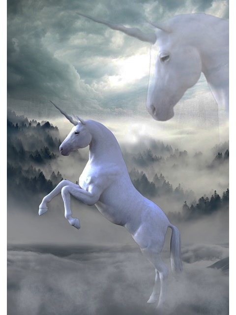 what-do-horses-symbolize-spiritually-in-dreams-and-the-bible