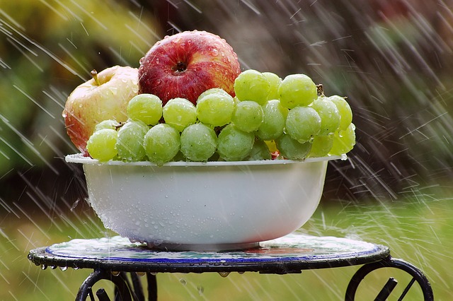 Grapes Health Benefits Disadvantages Uses Disease Prevention 