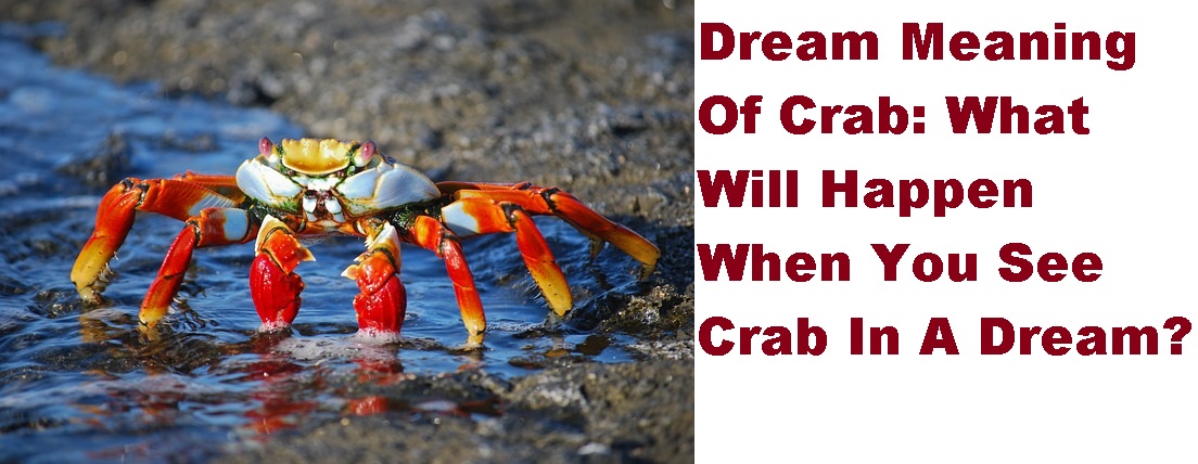 Dream Meaning Of Crab What Will Happen When You See Crab In A Dream