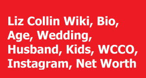 Liz Collin Wiki, Bio, Age, Wedding, Husband, Kids, WCCO, Instagram, Net Worth