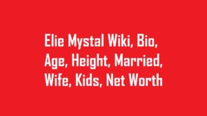 Elie Mystal Wiki, Bio, Age, Height, Married, Wife, Kids, Net Worth